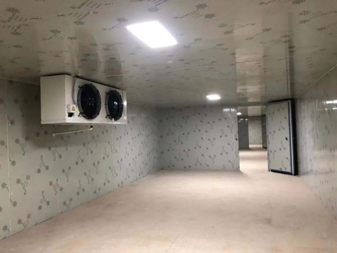 忻州气调保鲜冷库造价